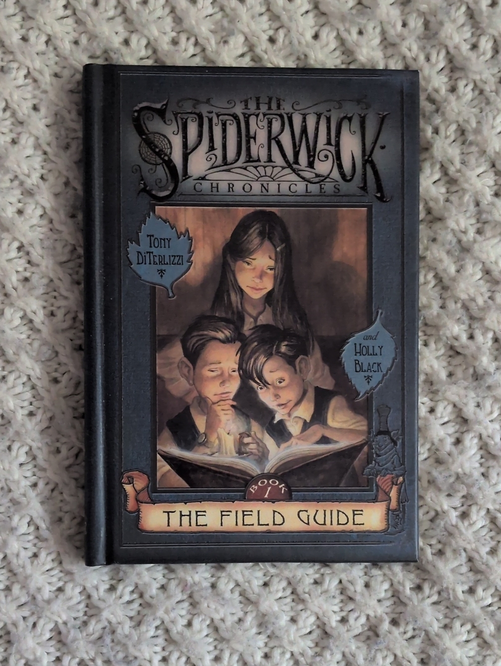 The Spiderwick Chronicles: The Field Guide - Hardcover Book vintage 2003